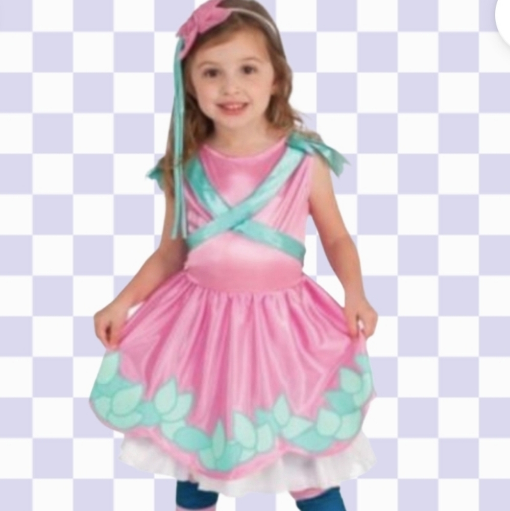Girls Little Charmer Posie Dress up Costume  pink green *